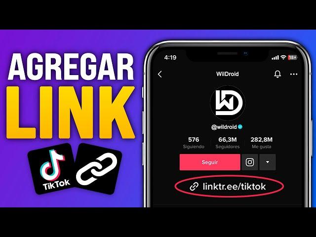 Cómo AGREGAR un ENLACE en TikTok (2024) Poner LINK En Tu Perfil De Tiktok