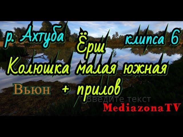 #рр4 . р.Ахтуба . Колюшка .Вьюн .Ёрш + прокачка донки . 21.02.