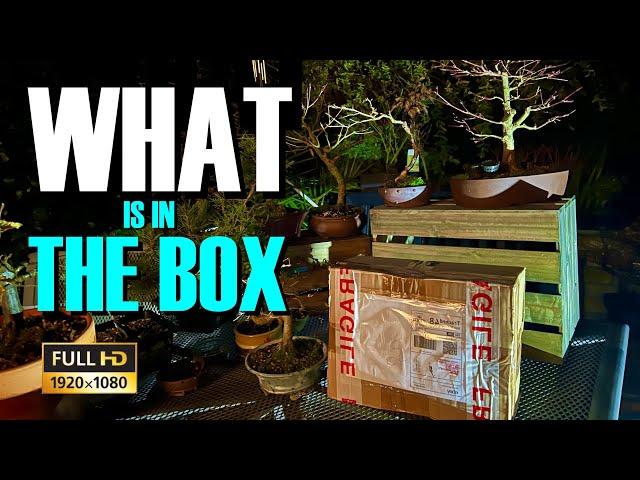 What Is In The Box? A bonsai related unboxing