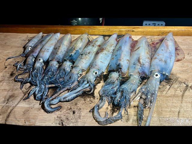 Squid - How to catch, clean and cook Squid - Spargo's Kitchen Seafood | The Fish Locker