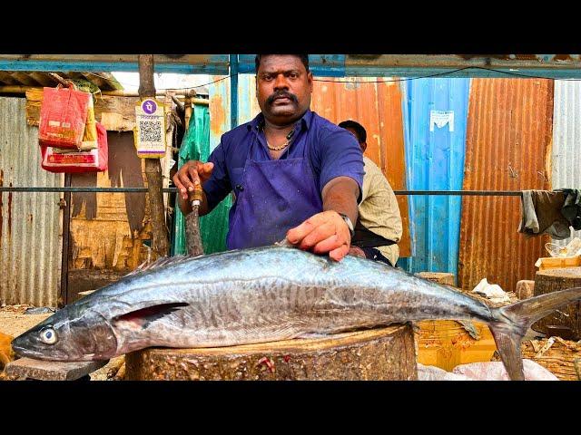 KASIMEDU  SPEED SELVAM | BIGG SEER FISH CUTTING VIDEO | IN KASIMEDU | FF CUTTING 