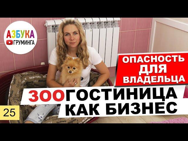 Зоогостиница как бизнес. Гостиница для животных - опасность для постояльцев?