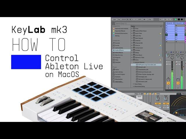 KeyLab  mk3 | How to Control Ableton Live on Mac OS