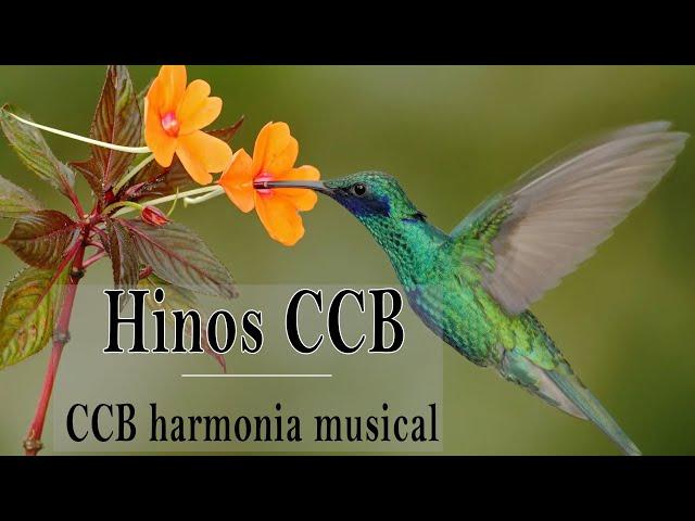 Hinos CCB 2020   CCB harmonia musical   Conjunto Completo Dos Melhores Hinos Cristãos