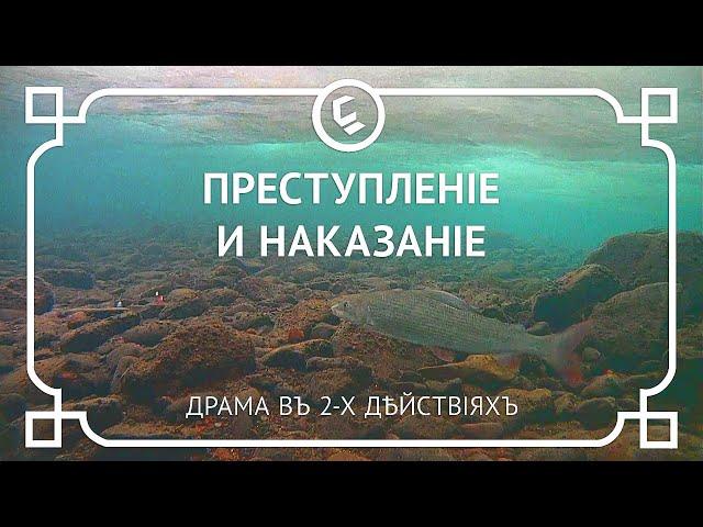 Преступление и наказание. Драма в 2-х действиях. Рыбалка на реке Уса