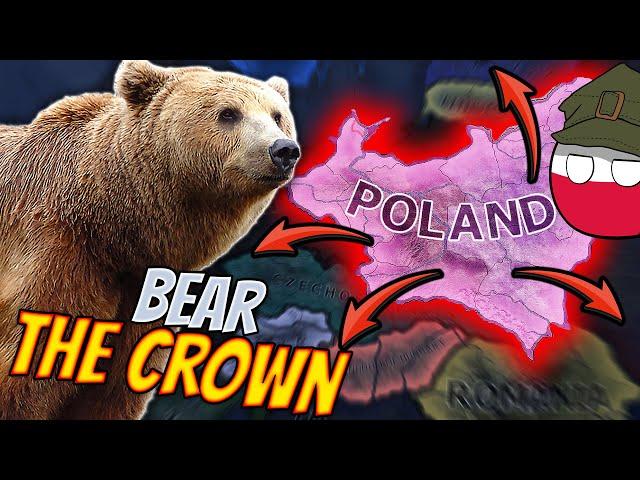 How a BEAR can be KING of Poland! Hoi4 Guide: Bearer of Artillery + He Who Bears the Crown