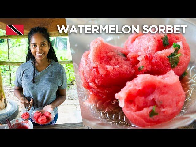 Watermelon Mint Sorbet Recipe at Wa Samaki Ecosystems in Freeport Trinidad & Tobago  Foodie Nation