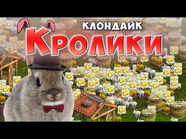 Клондайк / Кролики в игре Клондайк / Размножаем кроликов на домашней станции / Klondike game