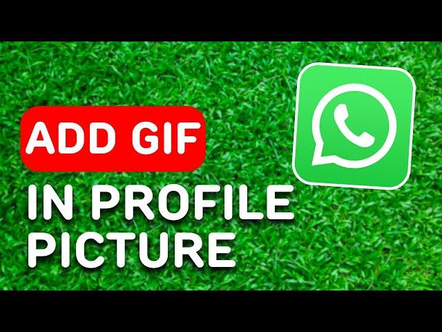 How to Add Gif in Whatsapp Profile Picture (2024) - Full Guide