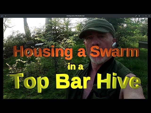 Housing a Swarm in a Top Bar Hive