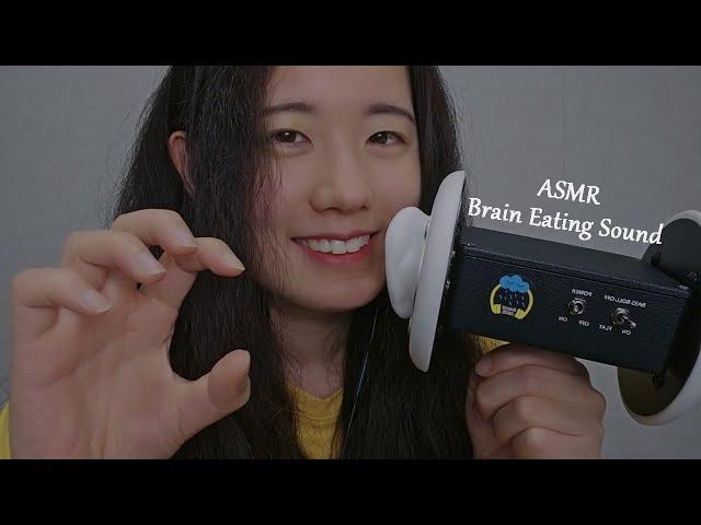 ASMR Brain Eating  Ear Blowing, Breath Sounds, 3dio (No Talking, 1 Hr)