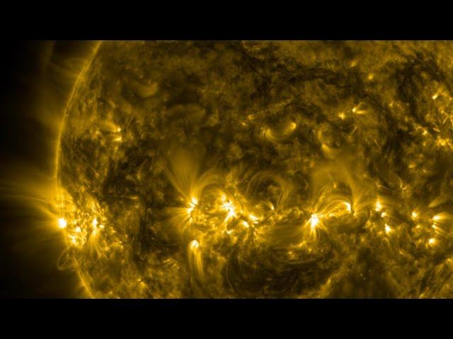 Lost Penguin, Space Weather Heart Impact, Sunspots | S0 News Nov.8.2024