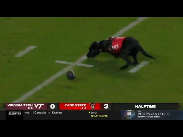 when the game is so bad that a dog is the most exciting part so far