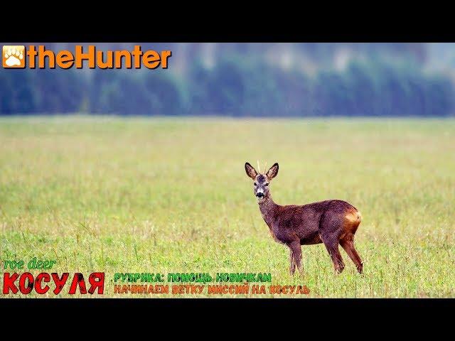 theHunter Classic | Рубрика: Помощь новичкам | Косуля - начало | Неизвестный друг