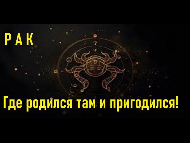 Рак - характеристика знак зодиака. Школа астрологии Virgo в Астане