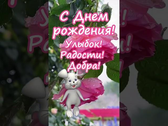 Все будет тип-топ! С Днем рождения!