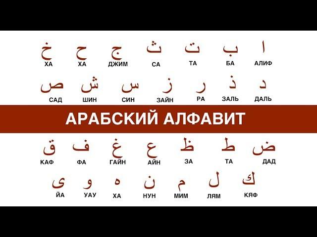 АРАБСКИЙ АЛФАВИТ. Арабский язык для начинающих. Видео урок.