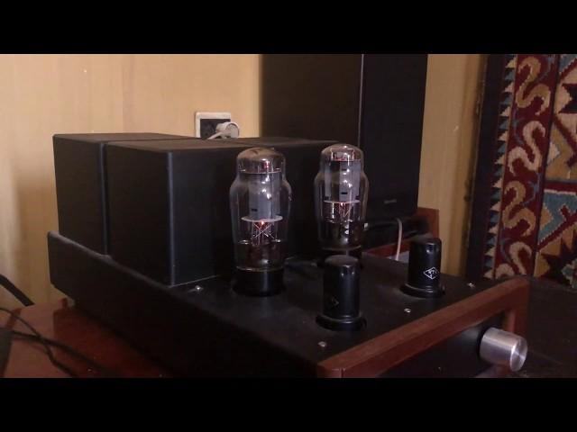 Astra A10-SE MK3, Microlab Solo7 (passive speakers) 2