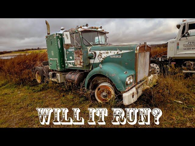 Saved from the CRUSHER! Will this ABANDONED Kenworth w900a ever run again??