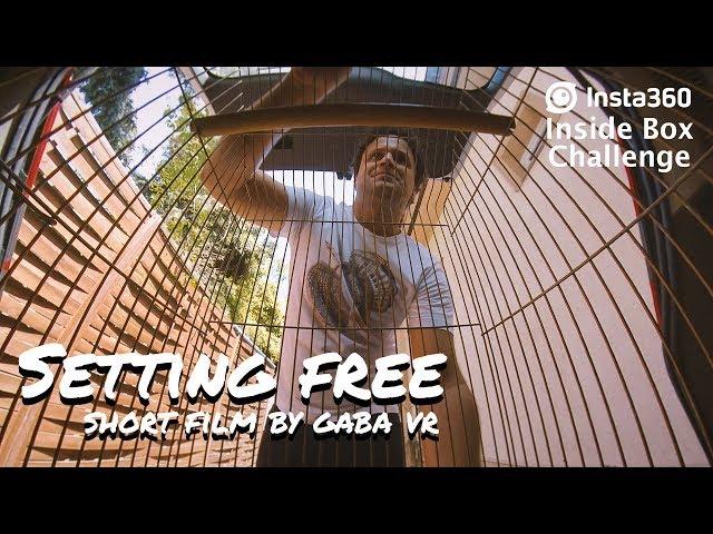 "Setting free" | Short film by Gaba VR | Insta360 #InsideBox Challenge | Gaba_VR