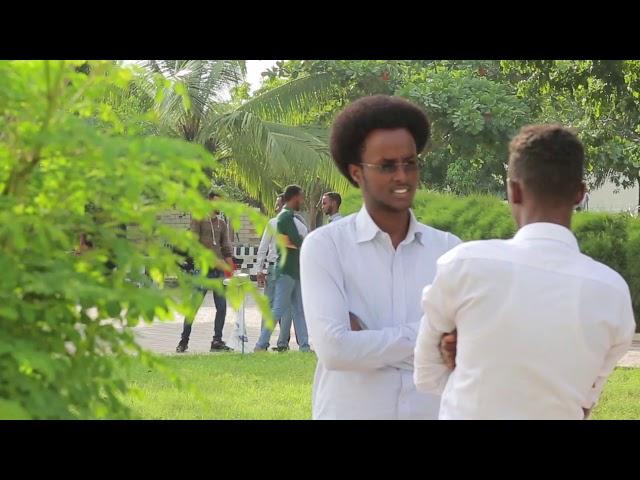 The Legacy of Two Decades of Human Resource Development in Somalia