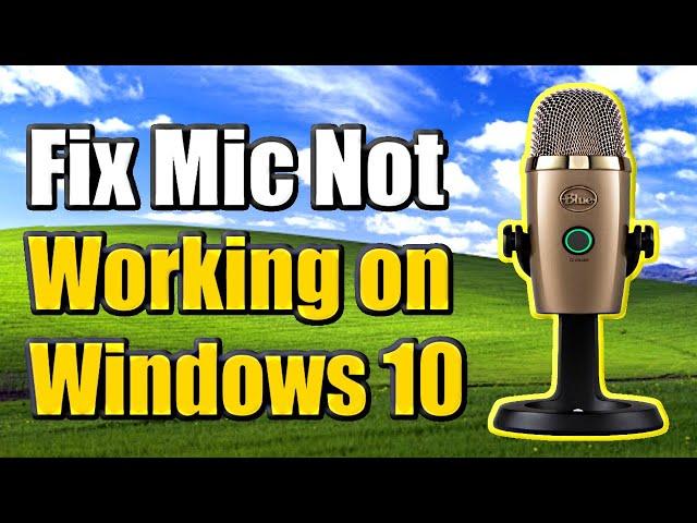 How to Fix Microphone Not Working Windows 10 (5 Easy Steps and More!)