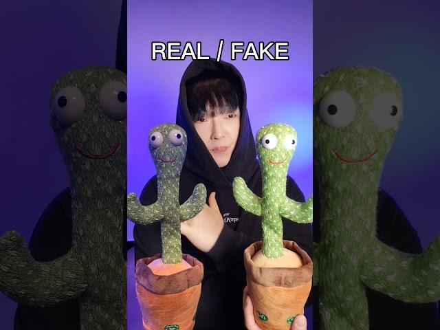 REAL / FAKE #beatbox #TeamREAL