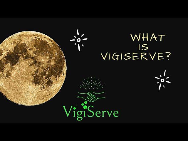 What is VigiServe?