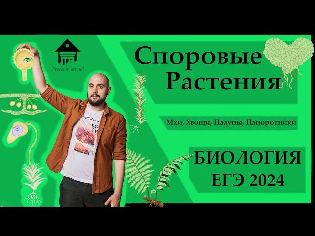 Споровые растения - МХИ, ХВОЩИ, ПЛАУНЫ, ПАПОРОТНИКИ для ЕГЭ 2024 |ЕГЭ БИОЛОГИЯ|Freedom|