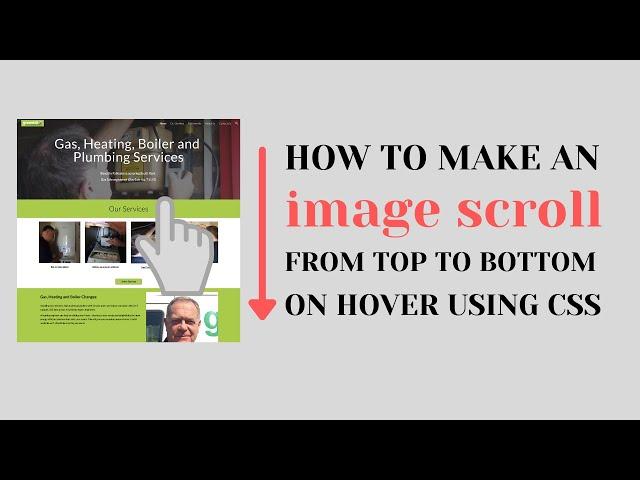 How to make an image scroll from top to bottom on hover