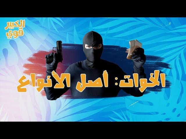 الخبير قوي/ معلومات حصرية عن ابرز انواع الذين يفرضون "الخوّة" في لبنان