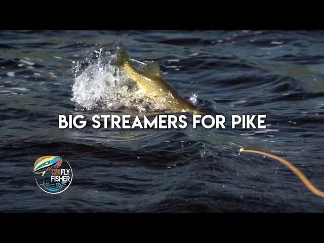 Streamers for Pike