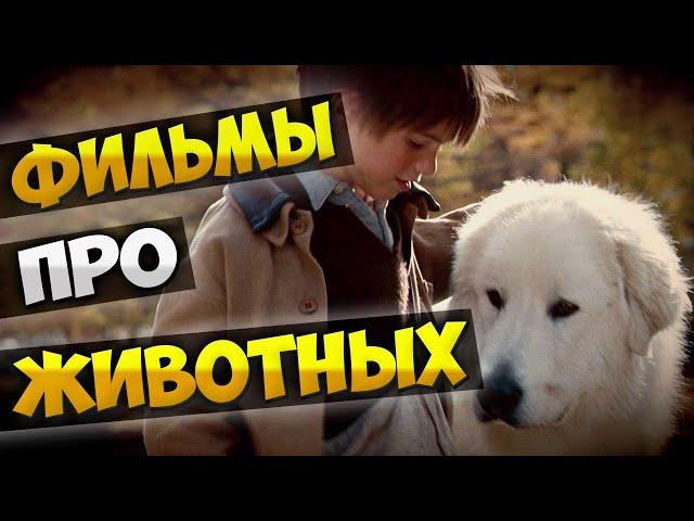 Добрые фильмы про животных