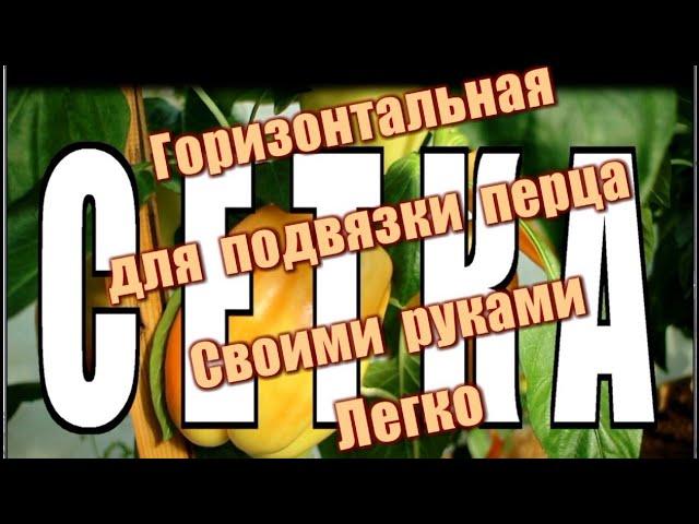 459_Горизонтальная сетка для подвязки перца своими руками. Легко!