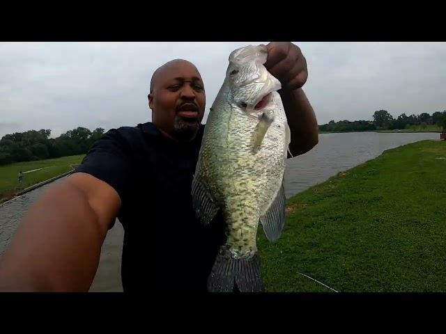 Another 2lb+ Crappie Having Fun Before The Incoming Storms