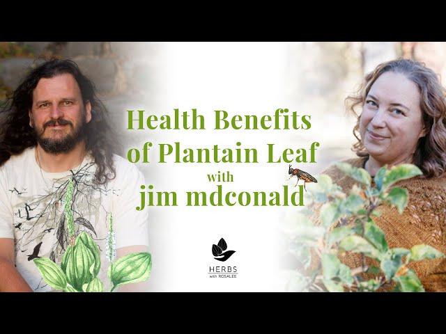 Health Benefits of Plantain Leaf with jim mcdonald