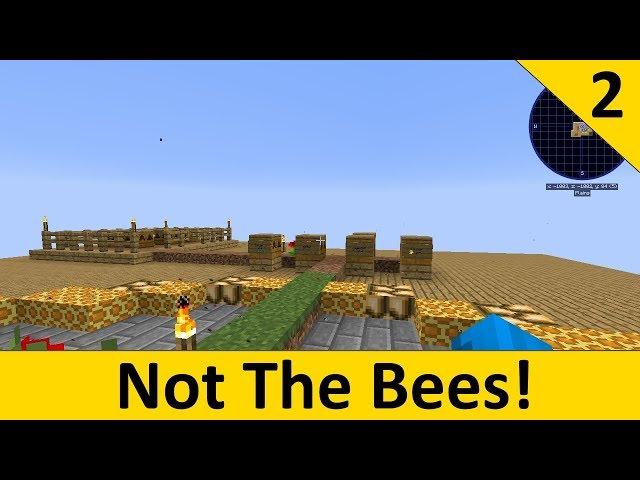 Not The Bees - Part 2 - The Common Common