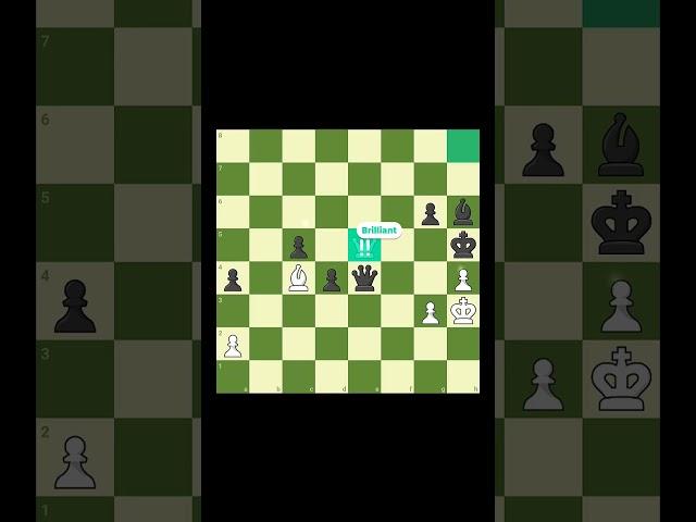 Anatoly Karpov Brilliancy #chess #chesscom #gothamchess