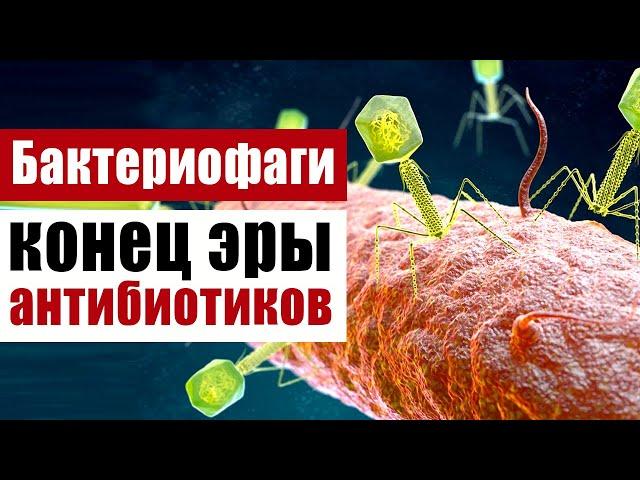 Бактериофаги, пожиратели бактерий и конец эры антибиотиков