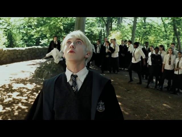 It's killed meh - Draco Malfoy