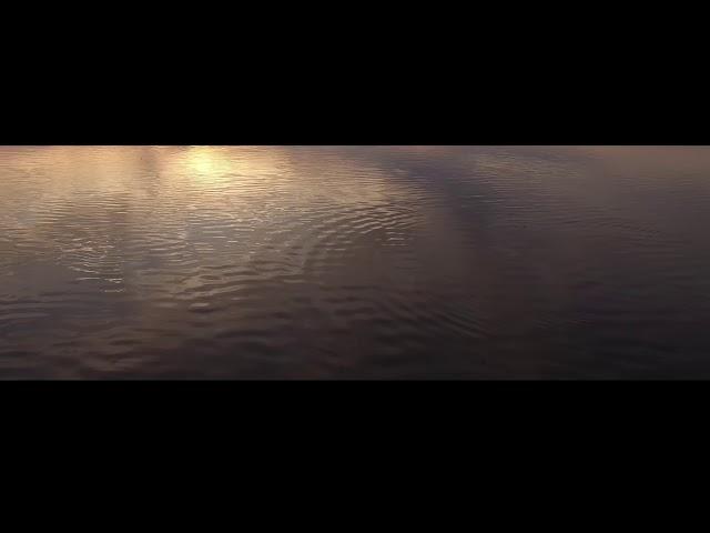 Chasing Dolphins in the Sunset, Edisto Island Drone Clip