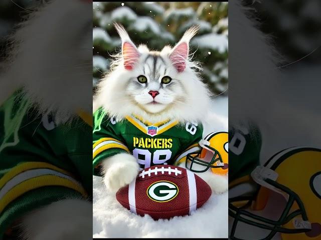 Cats in NFL jersey! cute cat aicat kitten meowtube catmemes catstory #ai #cat #cute #aicat #catlover