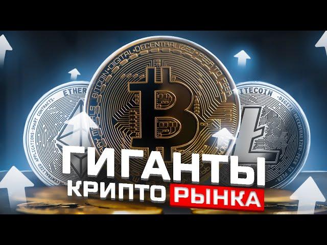 КРИПТОВАЛЮТА В 2022️ОСНОВНЫЕ МОНЕТЫ И ТОКЕНЫ