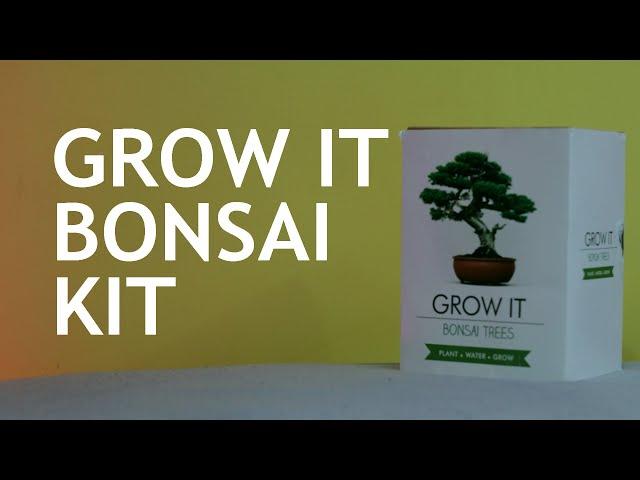 Grow It Bonsai Kit (0-6 months). Part 1