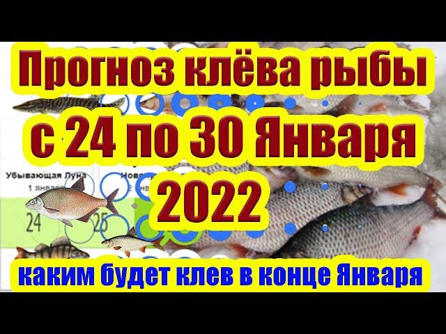 Прогноз клева рыбы на Эту неделю с 24 по 30 Января 2022 Лунный календарь рыбака на январь