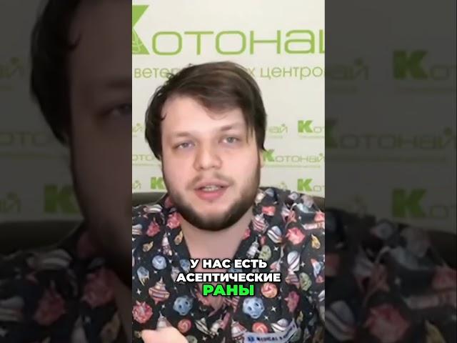 Что такое асептические раны | Основы хирургии