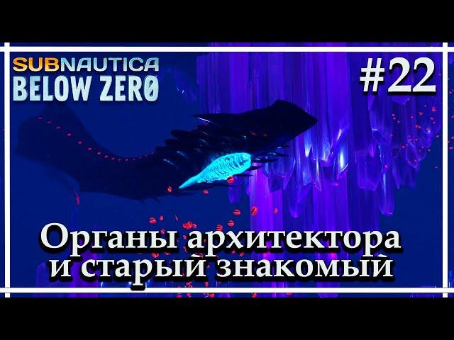 В поисках органов архитектораSubnautica: Below Zero Release. Прохождение #22