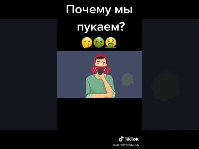 почему мы пукаем?