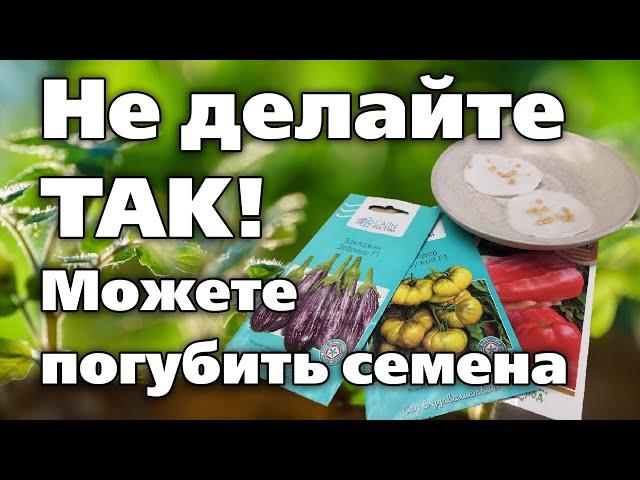 ОШИБКИ ПРИ ПРОРАЩИВАНИИ СЕМЯН. Будьте осторожны!