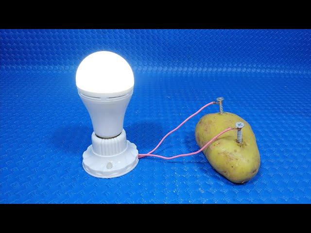 How to make free energy with potato | Simple Tech